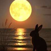 ヒメ日記 2025/10/15 20:52 投稿 ともみ 美熟女倶楽部Hip's 春日部店