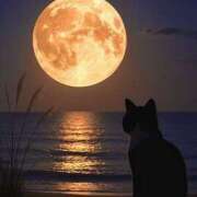 ヒメ日記 2025/10/16 21:29 投稿 ともみ 美熟女倶楽部Hip's 春日部店