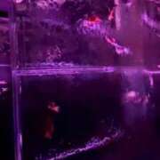 ヒメ日記 2025/10/20 08:12 投稿 ともみ 美熟女倶楽部Hip's 春日部店