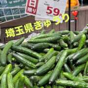 ヒメ日記 2025/10/25 11:32 投稿 ともみ 美熟女倶楽部Hip's 春日部店