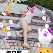 ヒメ日記 2025/10/30 13:52 投稿 ともみ 美熟女倶楽部Hip's 春日部店