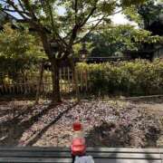 ヒメ日記 2025/10/31 09:42 投稿 ともみ 美熟女倶楽部Hip's 春日部店