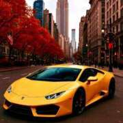 ヒメ日記 2025/11/04 09:42 投稿 ともみ 美熟女倶楽部Hip's 春日部店