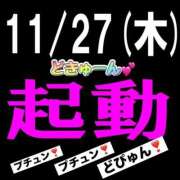 ヒメ日記 2025/11/27 08:05 投稿 ともみ 美熟女倶楽部Hip's 春日部店