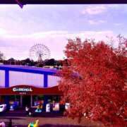 ヒメ日記 2025/12/03 10:42 投稿 ともみ 美熟女倶楽部Hip's 春日部店