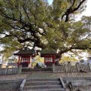 ヒメ日記 2025/12/14 19:12 投稿 ともみ 美熟女倶楽部Hip's 春日部店