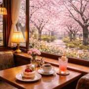 ヒメ日記 2026/02/14 11:02 投稿 ともみ 美熟女倶楽部Hip's 春日部店