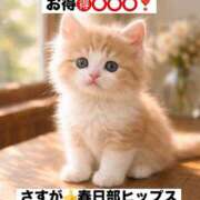 ヒメ日記 2026/02/21 16:22 投稿 ともみ 美熟女倶楽部Hip's 春日部店