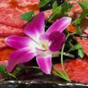 ともみ 花かな？とおもったら❣️肉でした❣️❣️❣️ 美熟女倶楽部Hip's 春日部店