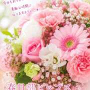 ヒメ日記 2026/05/13 19:06 投稿 ともみ 美熟女倶楽部Hip's 春日部店