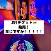 ヒメ日記 2026/07/14 14:52 投稿 ともみ 美熟女倶楽部Hip's 春日部店
