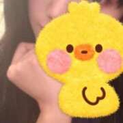 ヒメ日記 2025/10/11 10:03 投稿 まひる ホワイトベル