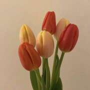 ヒメ日記 2026/01/22 16:19 投稿 椎名ゆい 池袋ストリーム