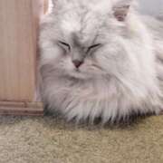 ヒメ日記 2025/10/13 18:42 投稿 かおり 取手人妻快速