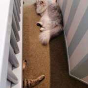 ヒメ日記 2025/10/14 10:18 投稿 かおり 取手人妻快速