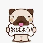 ヒメ日記 2025/10/16 10:14 投稿 かおり 取手人妻快速