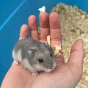 ヒメ日記 2025/10/02 22:47 投稿 山城あんり ハプニング痴漢電車or全裸入室