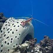 ヒメ日記 2025/10/13 19:18 投稿 山城あんり ハプニング痴漢電車or全裸入室