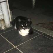 ヒメ日記 2025/10/14 10:17 投稿 山城あんり ハプニング痴漢電車or全裸入室