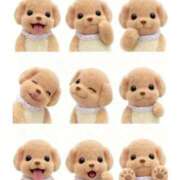 山城あんり こんばんわ！ ハプニング痴漢電車or全裸入室