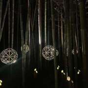 ヒメ日記 2025/10/25 09:42 投稿 さあや MAHARAJA(マハラジャ)千葉