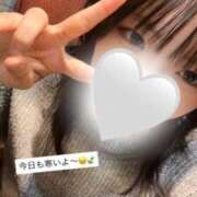 ヒメ日記 2025/10/31 17:07 投稿 あすみ 秋葉原鑑賞ガール