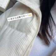 ヒメ日記 2025/11/15 14:57 投稿 あすみ 秋葉原鑑賞ガール