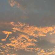 ヒメ日記 2025/11/24 20:46 投稿 さと 池袋コスプレサンシャイン（シンデレラグループ）