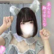 ヒメ日記 2025/11/25 10:15 投稿 さと 池袋コスプレサンシャイン（シンデレラグループ）