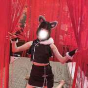 さと へい、らっしゃい 池袋コスプレサンシャイン（シンデレラグループ）