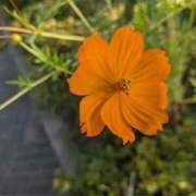 ヒメ日記 2025/10/24 18:20 投稿 ねね 妻天 尼崎店