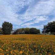 ヒメ日記 2025/11/14 18:20 投稿 ねね 妻天 尼崎店