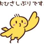 ヒメ日記 2026/02/03 21:04 投稿 ねね 妻天 尼崎店