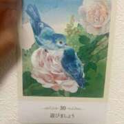 ヒメ日記 2025/11/03 11:28 投稿 南雲(なぐも) 熟女出逢い会『百合の園』目黒店