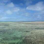 ヒメ日記 2026/02/25 20:06 投稿 ツナマヨ ドMな奥さん 日本橋店