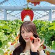 ヒメ日記 2026/04/19 11:22 投稿 三上 さら☆2 TiAmo（ティアモ）