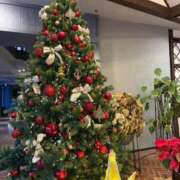 さよ お休み中は🌟⋆꙳ 夜這専門発情する奥様たち 難波店