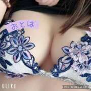 ヒメ日記 2025/12/15 10:37 投稿 おとは 妻天 梅田店