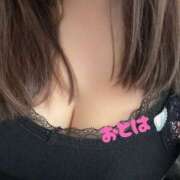 ヒメ日記 2026/02/04 10:20 投稿 おとは 妻天 梅田店