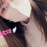 ヒメ日記 2026/02/12 00:51 投稿 おとは 妻天 梅田店