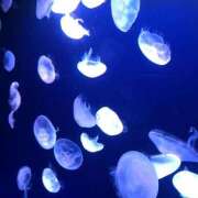 ヒメ日記 2025/10/04 17:24 投稿 もみじ 渋谷 風俗 奥様発情の会