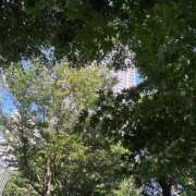 ヒメ日記 2025/10/23 22:06 投稿 もみじ 渋谷 風俗 奥様発情の会