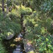 ヒメ日記 2025/11/22 22:01 投稿 もみじ 渋谷 風俗 奥様発情の会