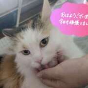 ヒメ日記 2026/02/22 11:28 投稿 みいな/Mina VERY（ヴェリィ)