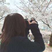 ヒメ日記 2026/04/09 15:02 投稿 なつ ビギナーズ和歌山