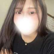 ガチャポンいずみぽん 明日の予定は…！ にゃんだ☆full☆MIX（にゃんだふるみっくす）