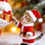 ヒメ日記 2025/12/24 12:25 投稿 みいこ 熟女の風俗最終章 新宿店