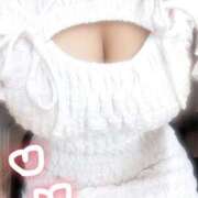 ヒメ日記 2025/09/17 23:58 投稿 ことは 京都BOOK MARK（ブックマーク）