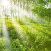 ヒメ日記 2025/09/21 11:06 投稿 ちさと 丸妻 新横浜店