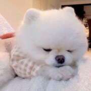 ヒメ日記 2025/09/27 06:49 投稿 ちさと 丸妻 新横浜店